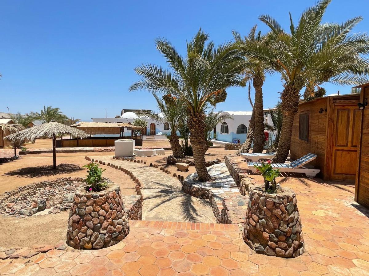 Dolphin Camp Hotel Dahab Ngoại thất bức ảnh