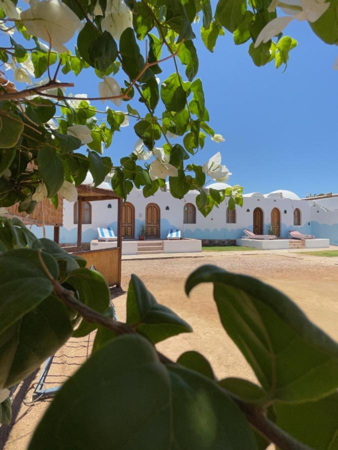 Dolphin Camp Hotel Dahab Ngoại thất bức ảnh