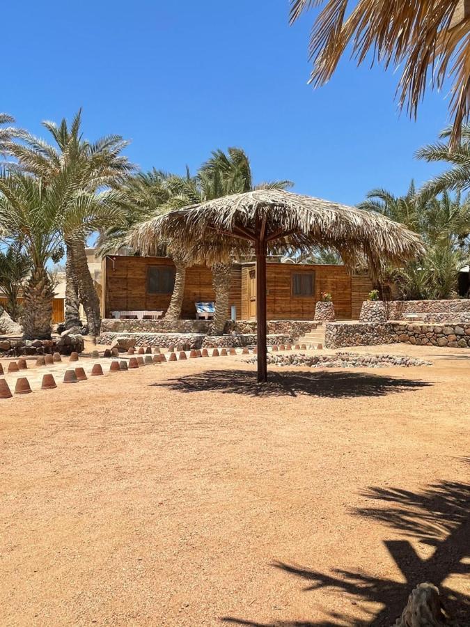 Dolphin Camp Hotel Dahab Ngoại thất bức ảnh