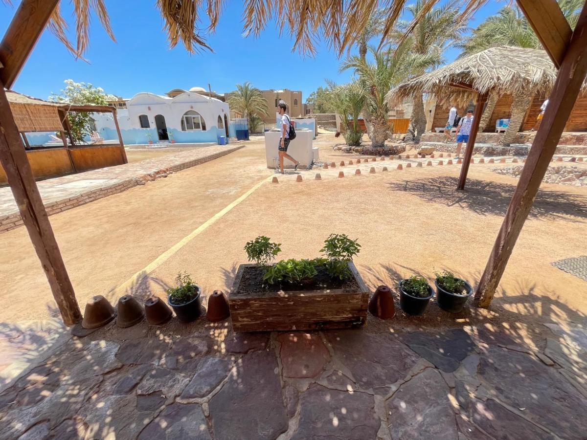 Dolphin Camp Hotel Dahab Ngoại thất bức ảnh