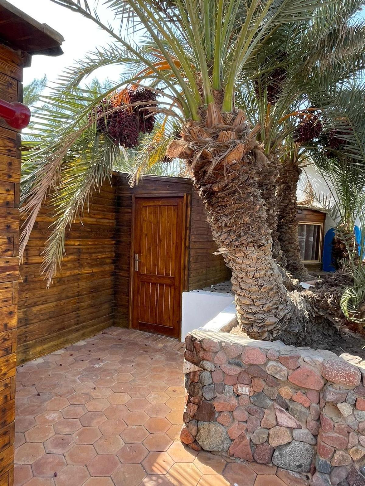 Dolphin Camp Hotel Dahab Ngoại thất bức ảnh