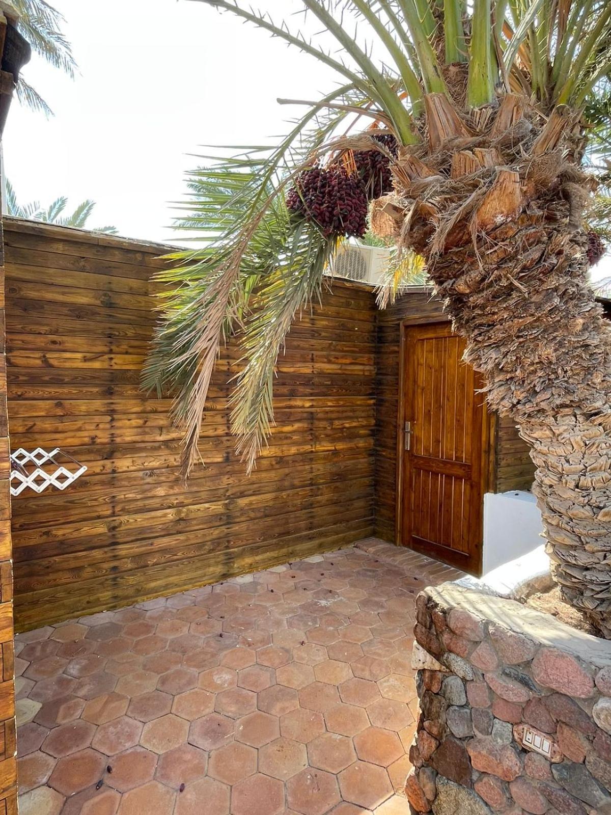 Dolphin Camp Hotel Dahab Ngoại thất bức ảnh
